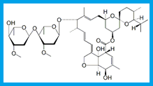 IVERMECTIN B1B